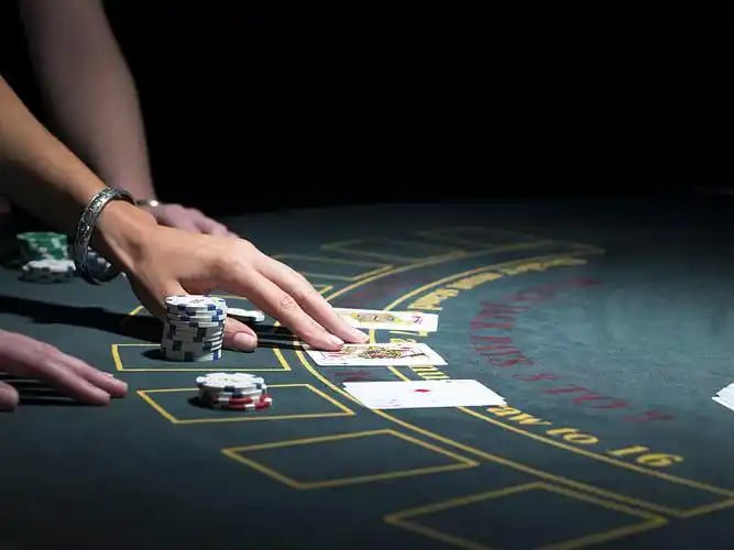 ph444 login bingo room interface showing live game cards for Filipino players